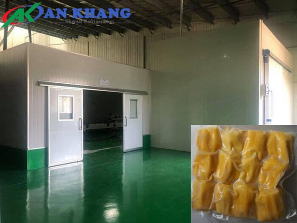 Lắp Đặt Kho Lạnh Bảo Quản Mít