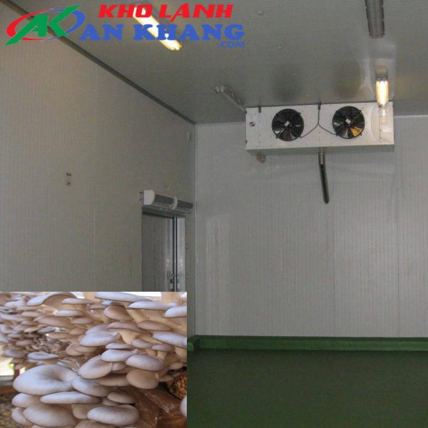 Kho Lạnh Bảo Quản Nấm