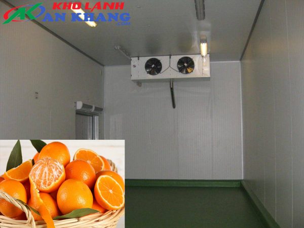kho lạnh bảo quản trái Cam