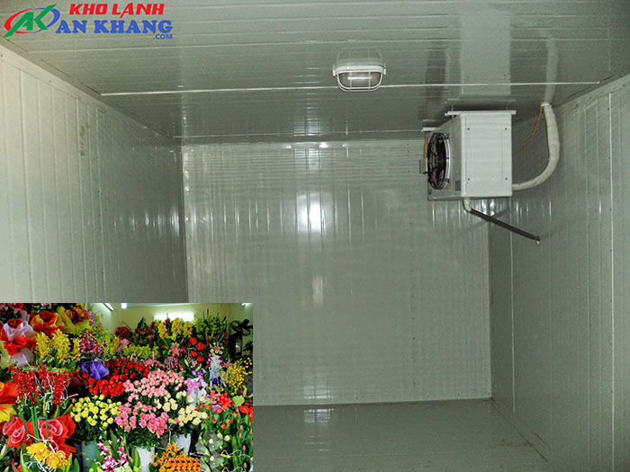 kho lạnh bảo quản hoa tươi