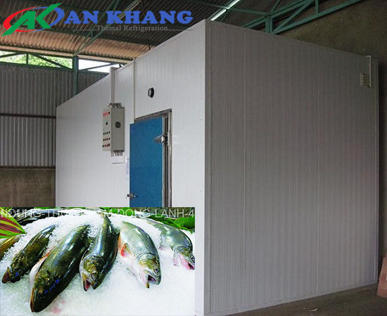 kho lạnh bảo quản cá