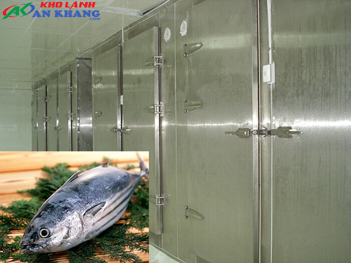 kho đông bảo quản cá ngừ