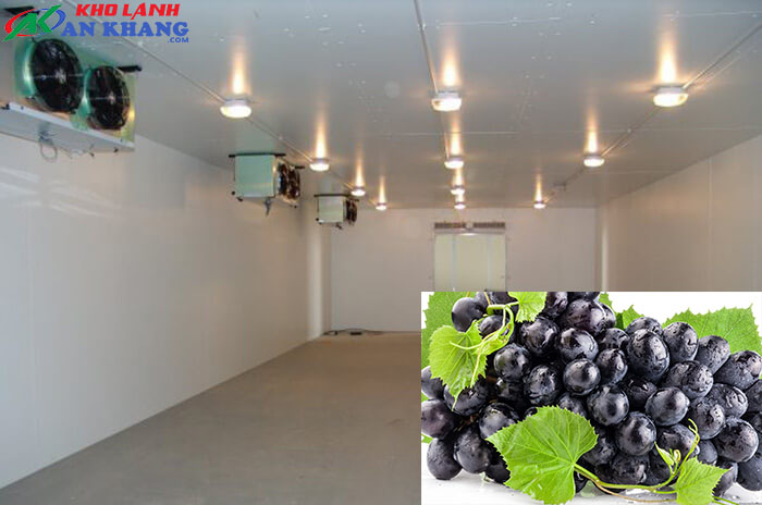 Kho bảo quản nho