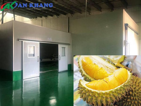 Kho bảo quản sầu riêng