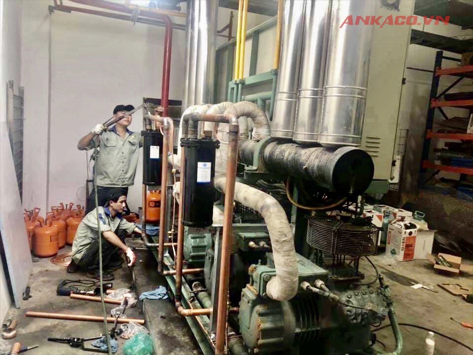 cum-may-nen-kho-lanh-bitzer