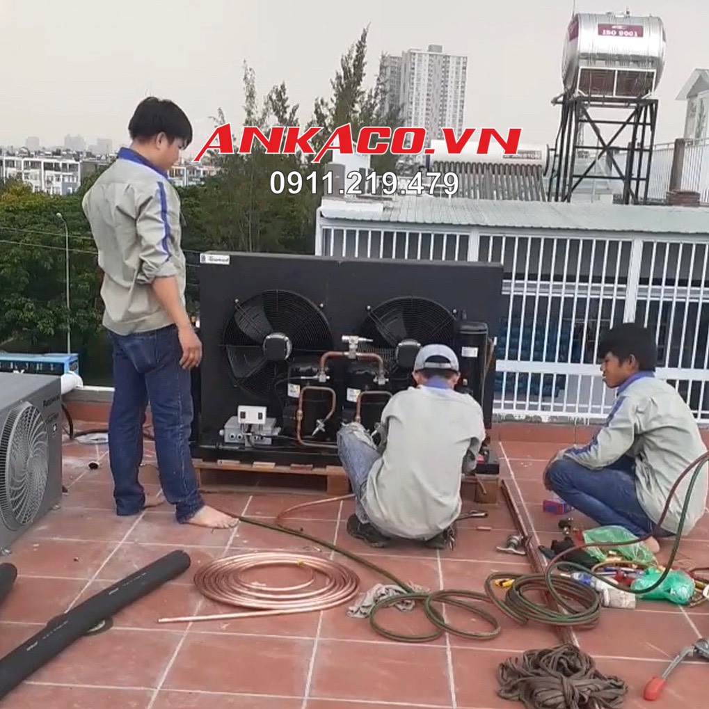 kho-lanh-bao-quan-hoa-tuoi-18