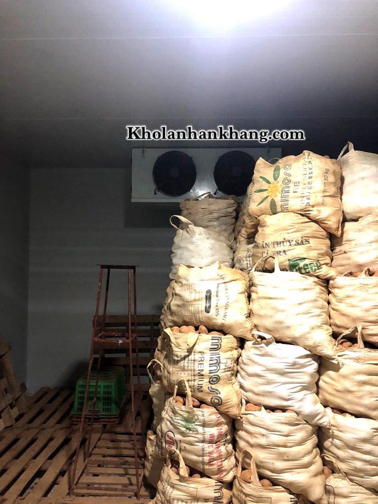 Thi công kho lạnh bảo quản khoai tây tại Đà Lạt
