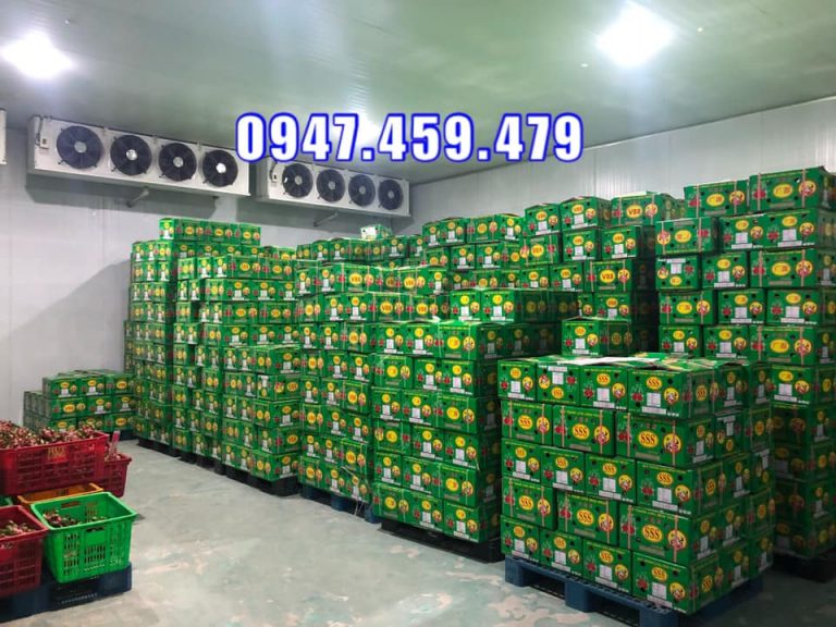 Báo giá hoàn chỉnh kho lạnh bảo quản thanh long tại Phan Thiết